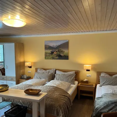 בית הארחה Fruehstueckspension Gsenger 3*